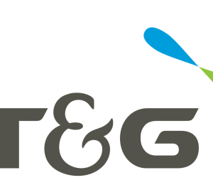 KT&G, 강릉 가뭄 지역에 생수 20만병 지원